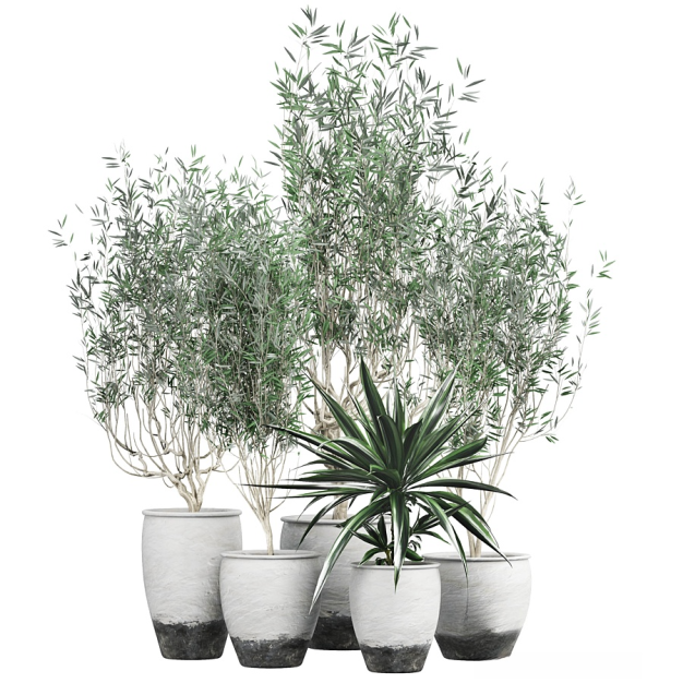 现代绿植盆栽3D模型