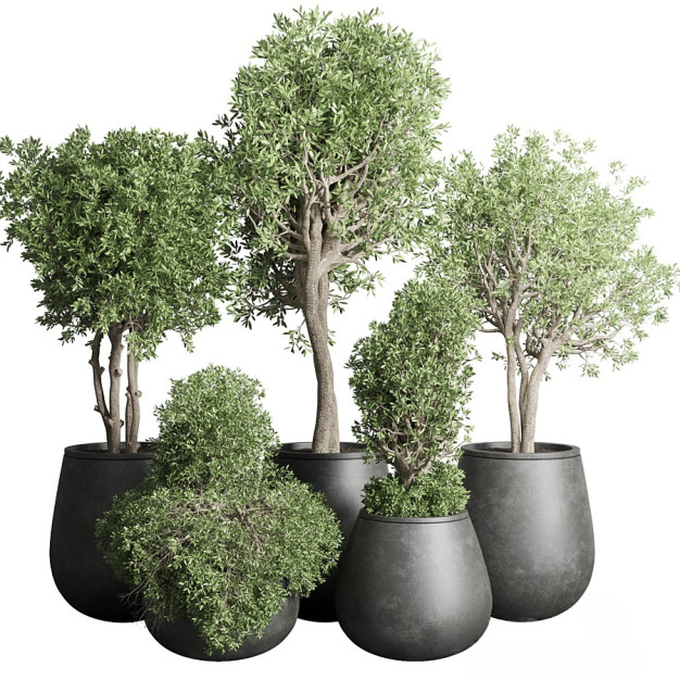 植物盆栽3D模型
