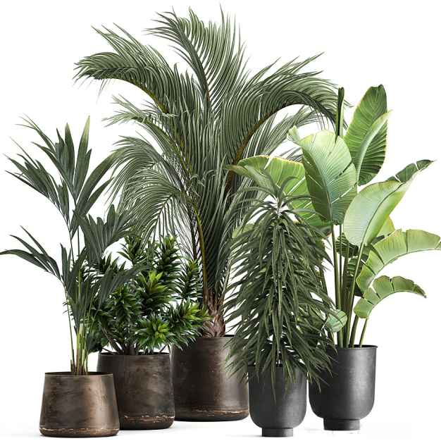 现代绿植盆栽组合3D模型