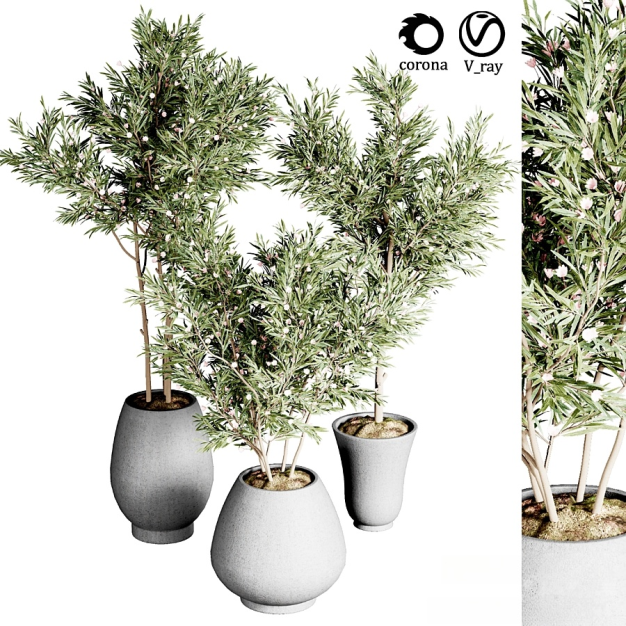 现代植物盆栽3D模型