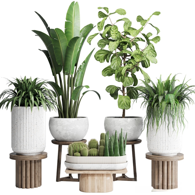 现代植物盆栽3D模型