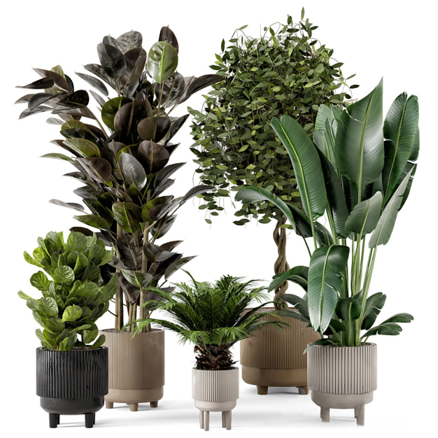 现代绿植盆栽3D模型