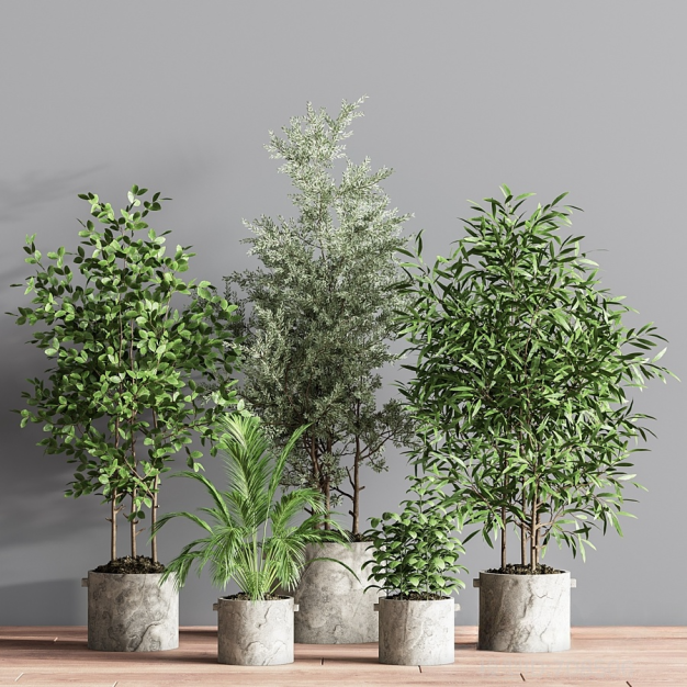 现代绿植盆栽3D模型