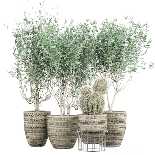 现代绿植盆栽组合3D模型
