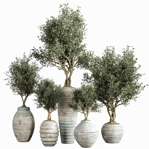 现代绿植盆栽3D模型
