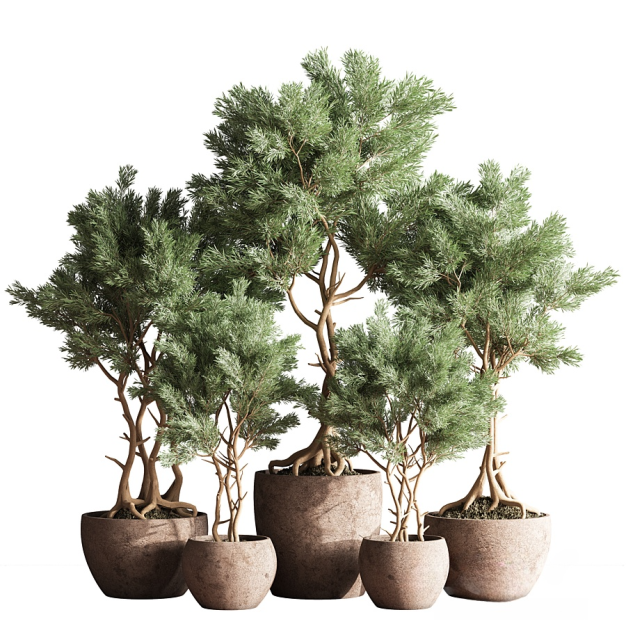 植物盆栽3D模型