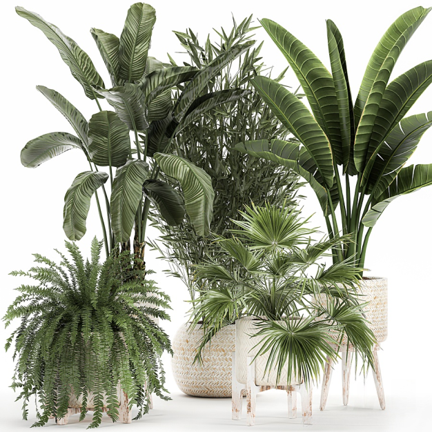 现代植物盆栽3D模型
