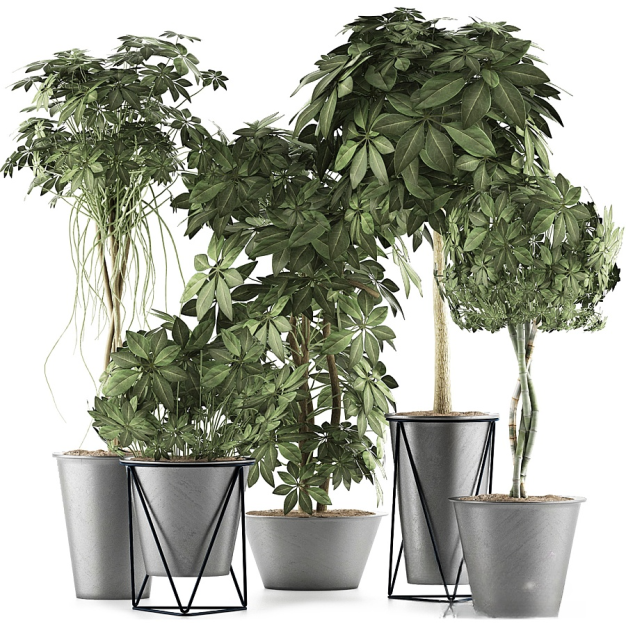 植物盆栽3D模型