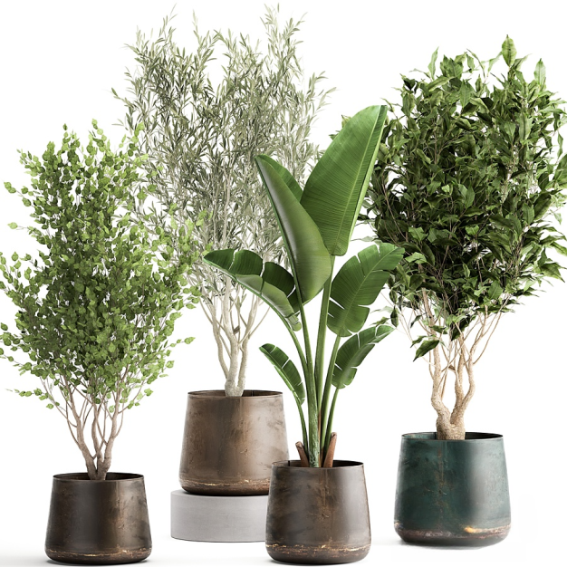 现代绿植盆栽3D模型