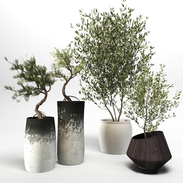 新中式植物盆栽盆景3D模型