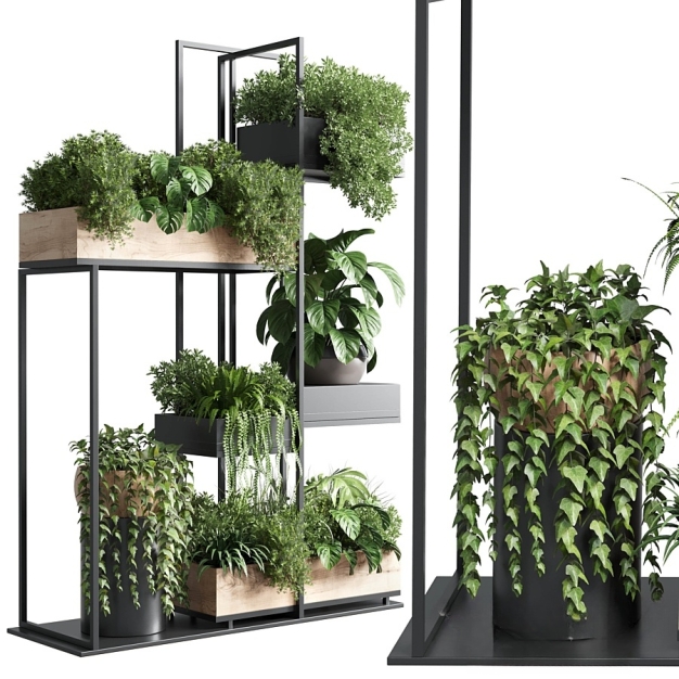 现代绿植盆栽植物架3D模型