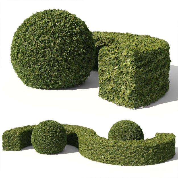 绿化带灌木植物3D模型
