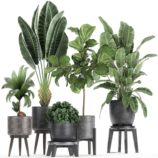 现代植物盆栽3D模型