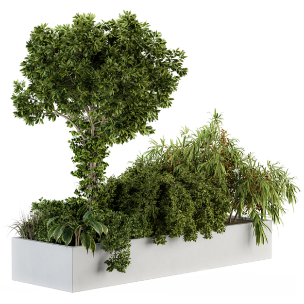植物盆栽3D模型
