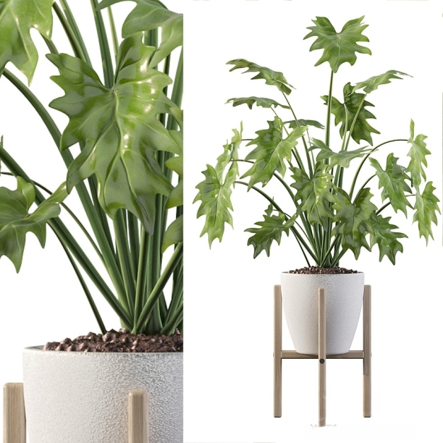 现代植物盆栽3D模型