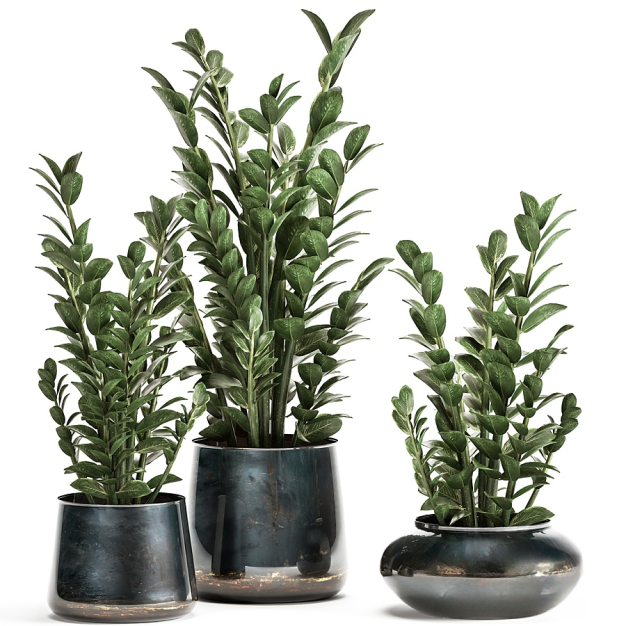 现代植物盆栽3D模型