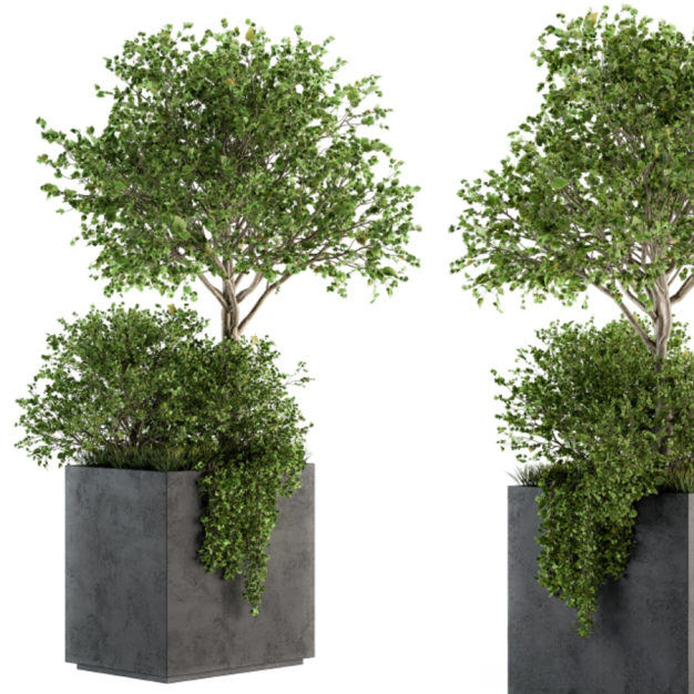 植物盆栽3D模型