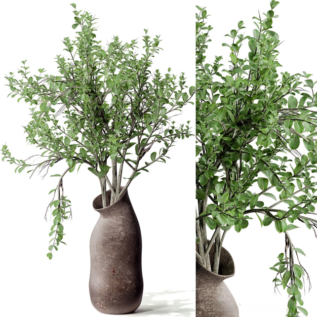 植物盆栽3D模型