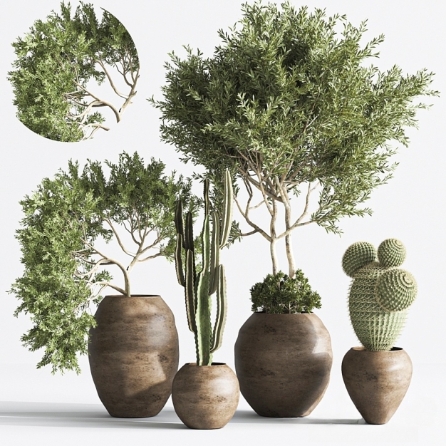 现代绿植盆栽组合3D模型