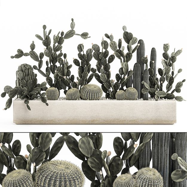 现代仙人掌绿植盆栽3D模型