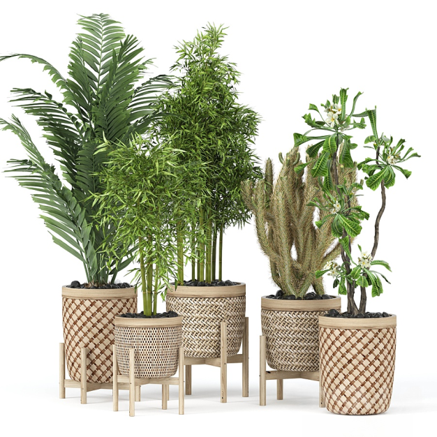 现代植物盆栽3D模型