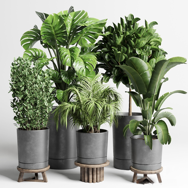 现代绿植盆栽3D模型