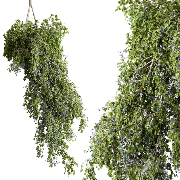 植物盆栽3D模型