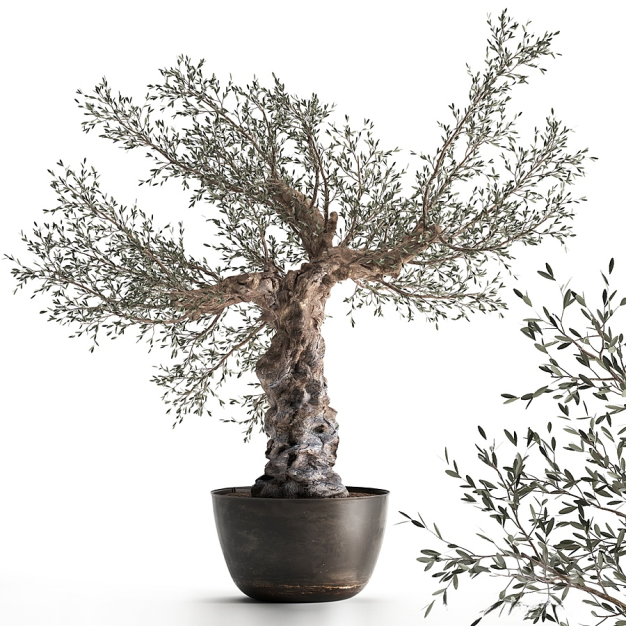 现代绿植盆栽组合3D模型