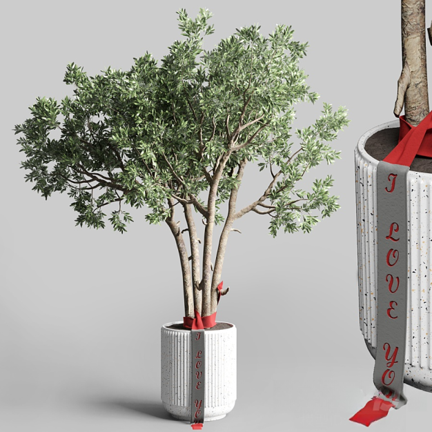 现代植物盆栽3D模型