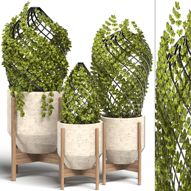 现代绿植盆栽3D模型