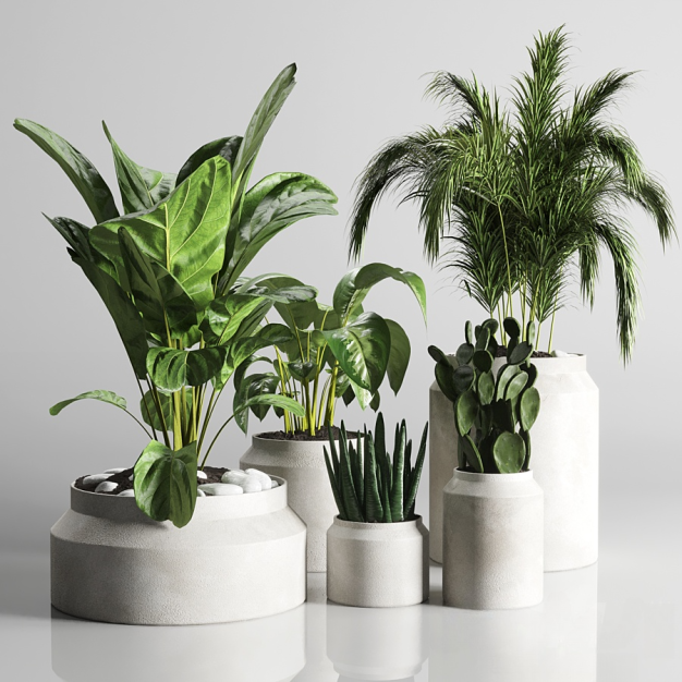 现代植物盆栽3D模型