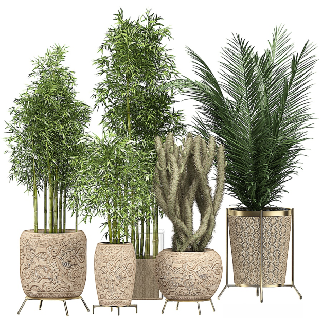 现代绿植盆栽竹子3D模型