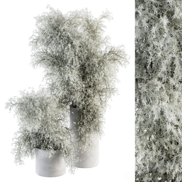 植物盆栽3D模型