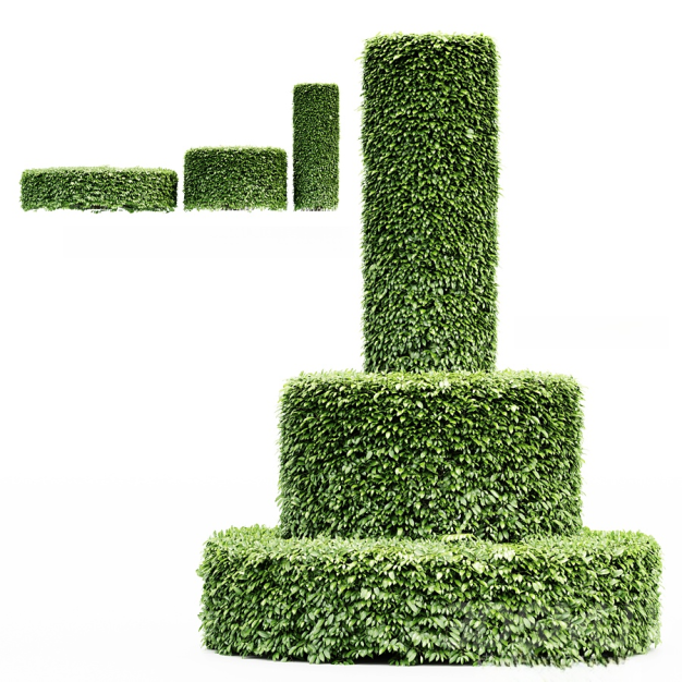 灌木植物3D模型