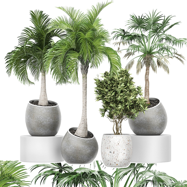 现代植物盆栽3D模型