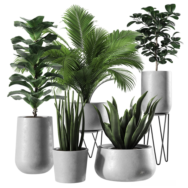 现代绿植盆栽3D模型