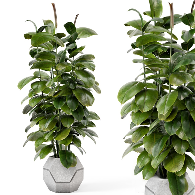 现代绿植盆栽3D模型