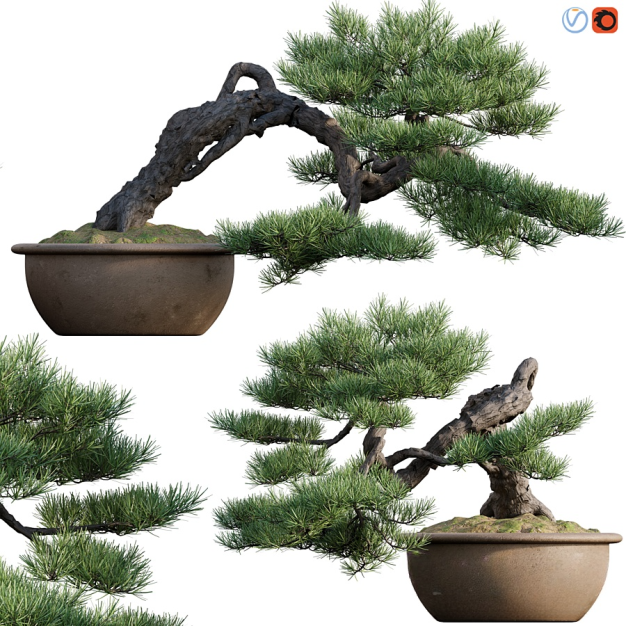 现代绿植松树盆栽3D模型