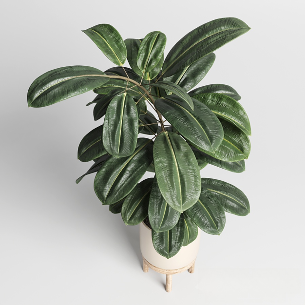 现代绿植盆栽3D模型