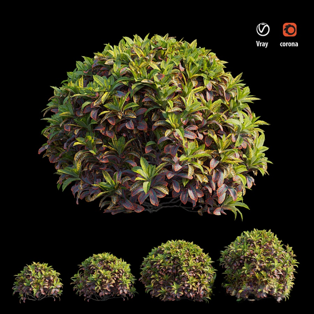 灌木植物3D模型