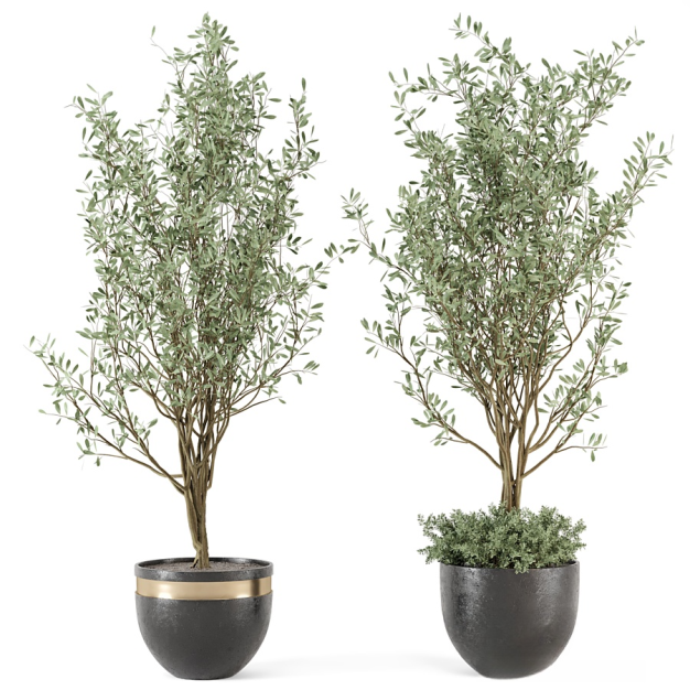 现代植物盆栽3D模型