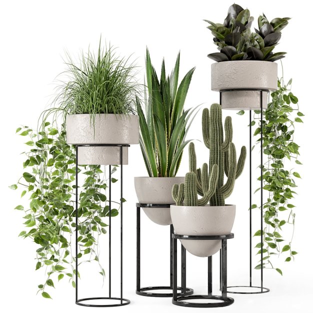 植物盆栽组合3D模型