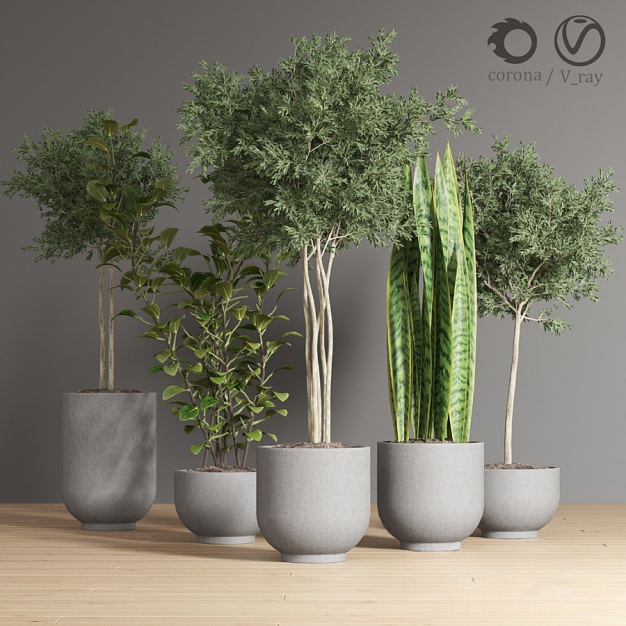 现代绿植盆栽组合3D模型
