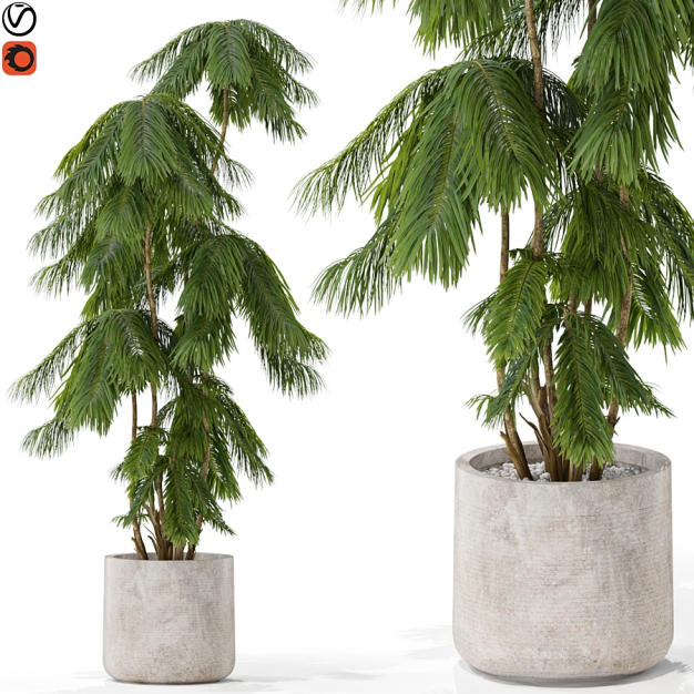 现代绿植盆栽3D模型