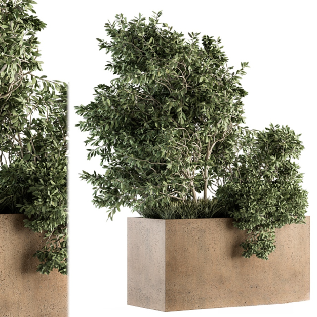 现代绿植花箱盆栽3D模型