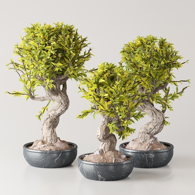 现代绿植盆栽3D模型