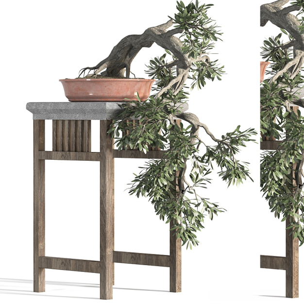 新中式松树盆栽3D模型