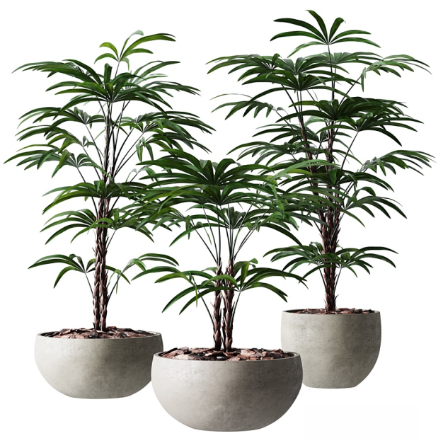 现代植物盆栽3D模型