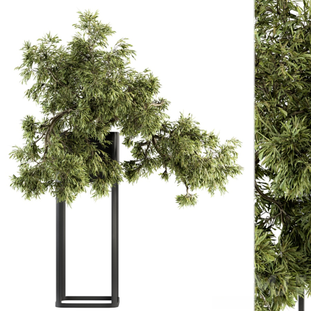 现代绿植盆栽3D模型