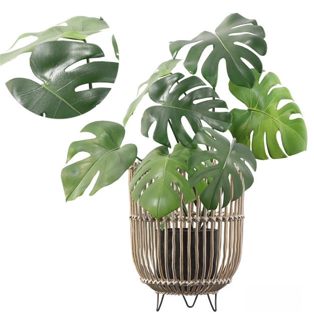 现代植物盆栽3D模型